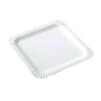 White square cardboard plate