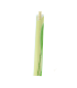 Bamboo chopsticks wrapped by pair   H200mm