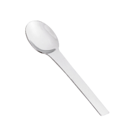 Stainless steel spoon  165x330mm H15mm