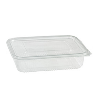 Rectangular clear PET box with hinged lid