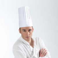 White non woven five star chef's hat